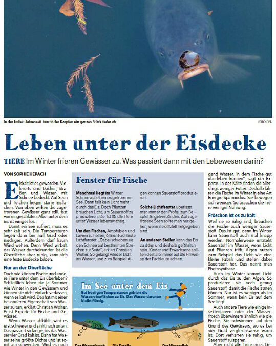 Neues aus der MZ vom 23.01.2026