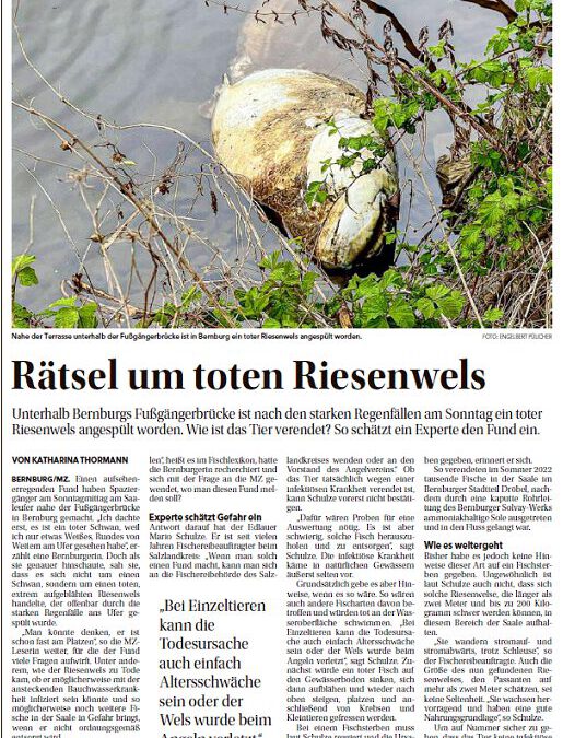 Neues aus der MZ vom 21.04.2026