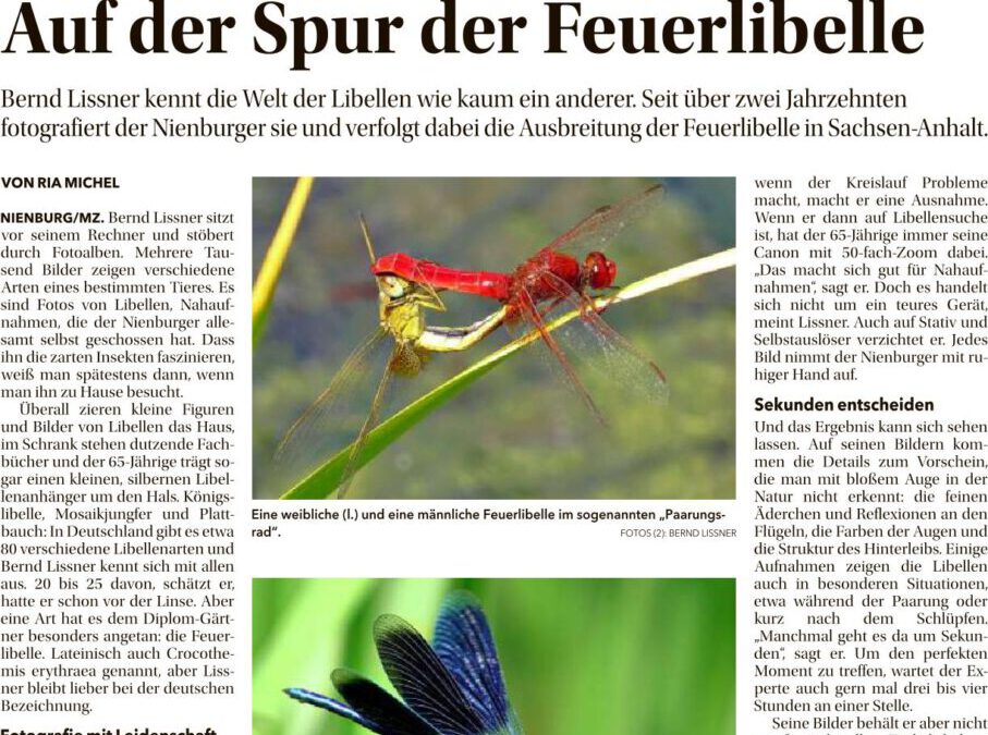 Neues aus der MZ vom 25.08.2026