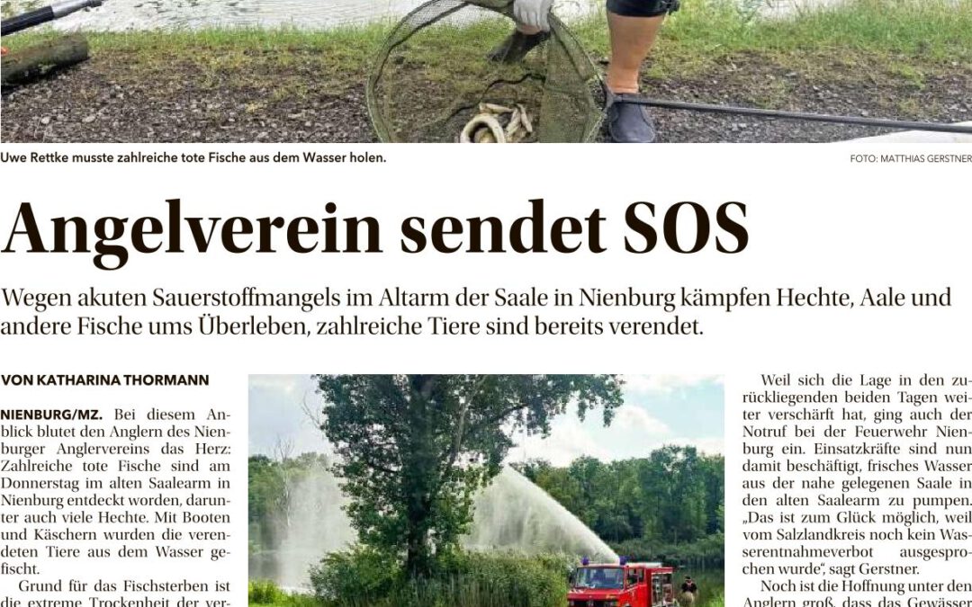 Neues aus der MZ vom 21.08.2026