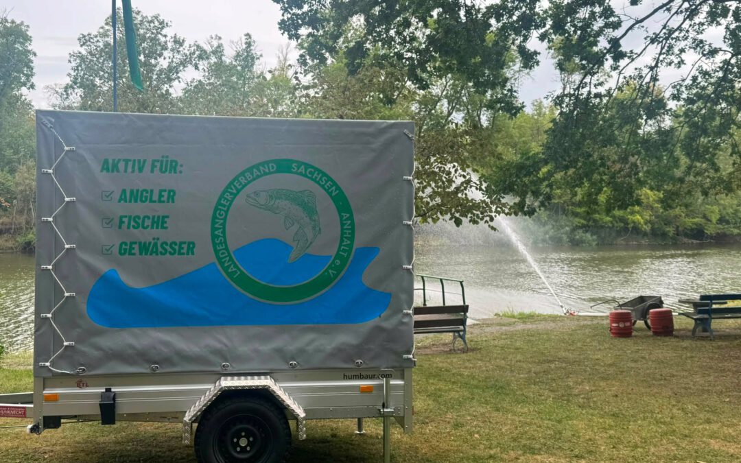 Fischsterben im Altarm Nienburg Saale – Anglerverein holt Notfallanhänger